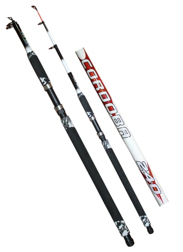 CORDOBA 100-250 AKSİYON TELESKOPİK KAMIŞ 2.40M