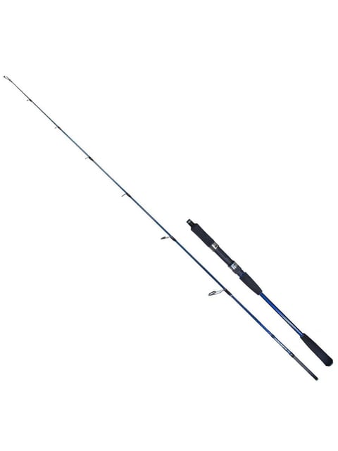 Ryuji Strobe II 1.68m 80-170gr 2P Jig Olta Kamışı